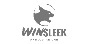 Winsleek